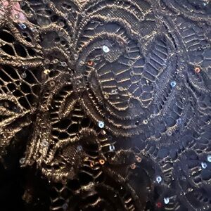 Elegant Black Lace Sequin dress